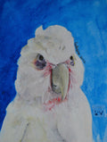 Custom portraits