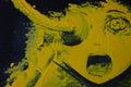 Original Art 'Freedom' (Oil paint drawing)